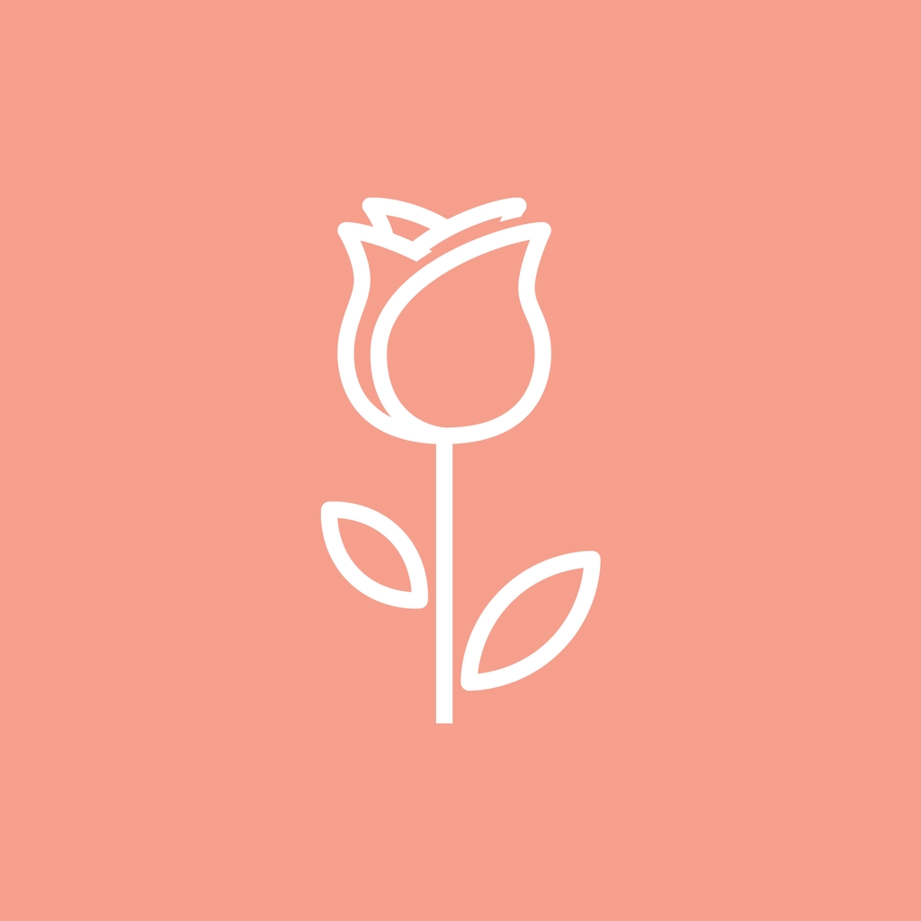ورد شفق